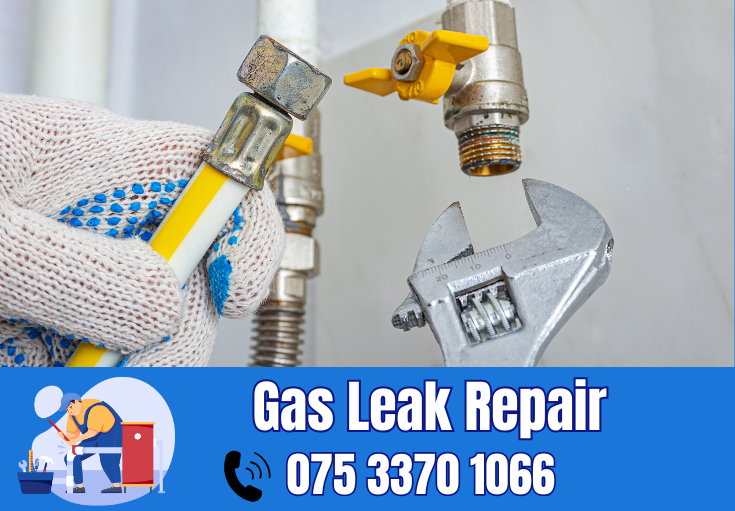 gas leak repair Sevenoaks