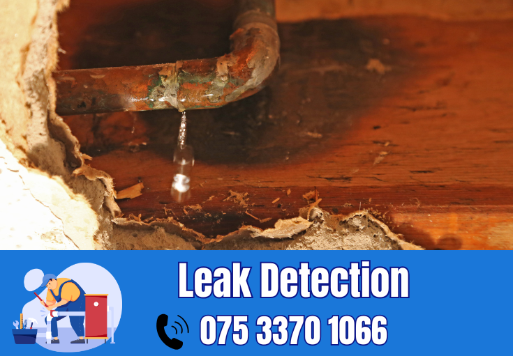 leak detection Sevenoaks