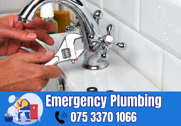  plumber Dunton Green