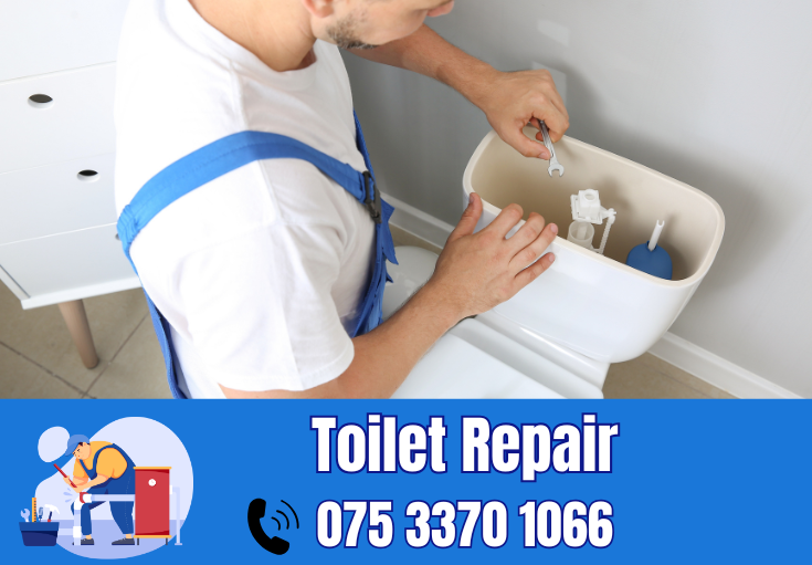 toilet repair Sevenoaks